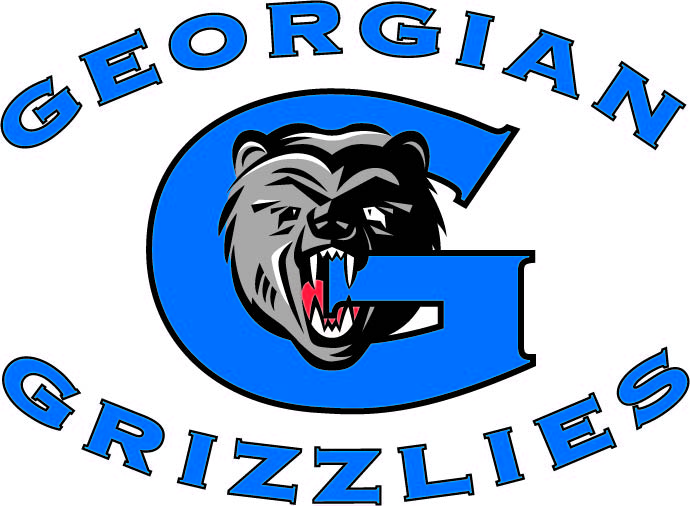 格鲁吉亚灰熊队标志的图像