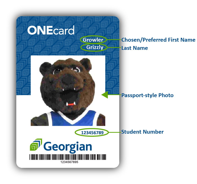 一张ONEcard的照片，说明它包含哪些信息:选择/首选的名字，姓氏，护照风格的照片，和学生号码。