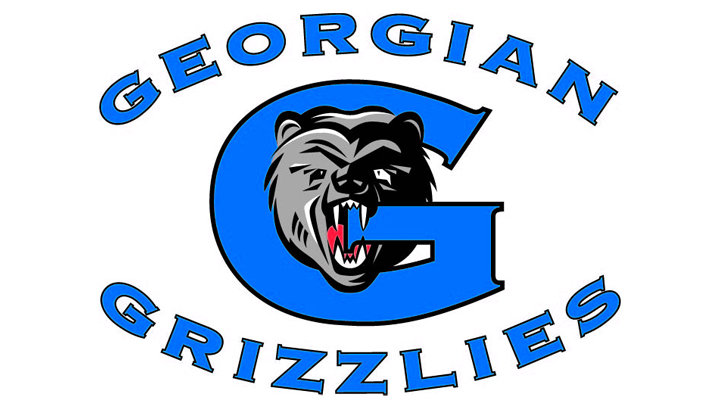 格鲁吉亚灰熊的标志