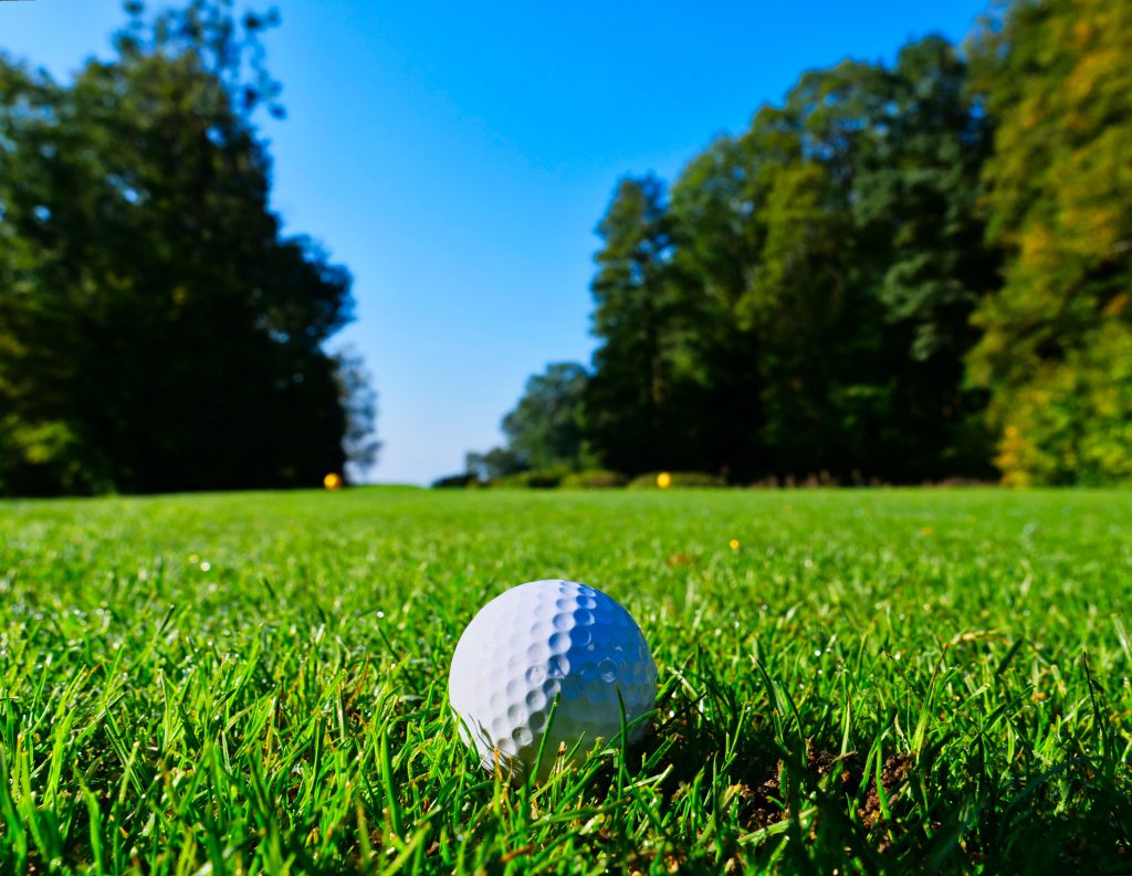 白色的高尔夫球在绿色的草地上，背景是树木